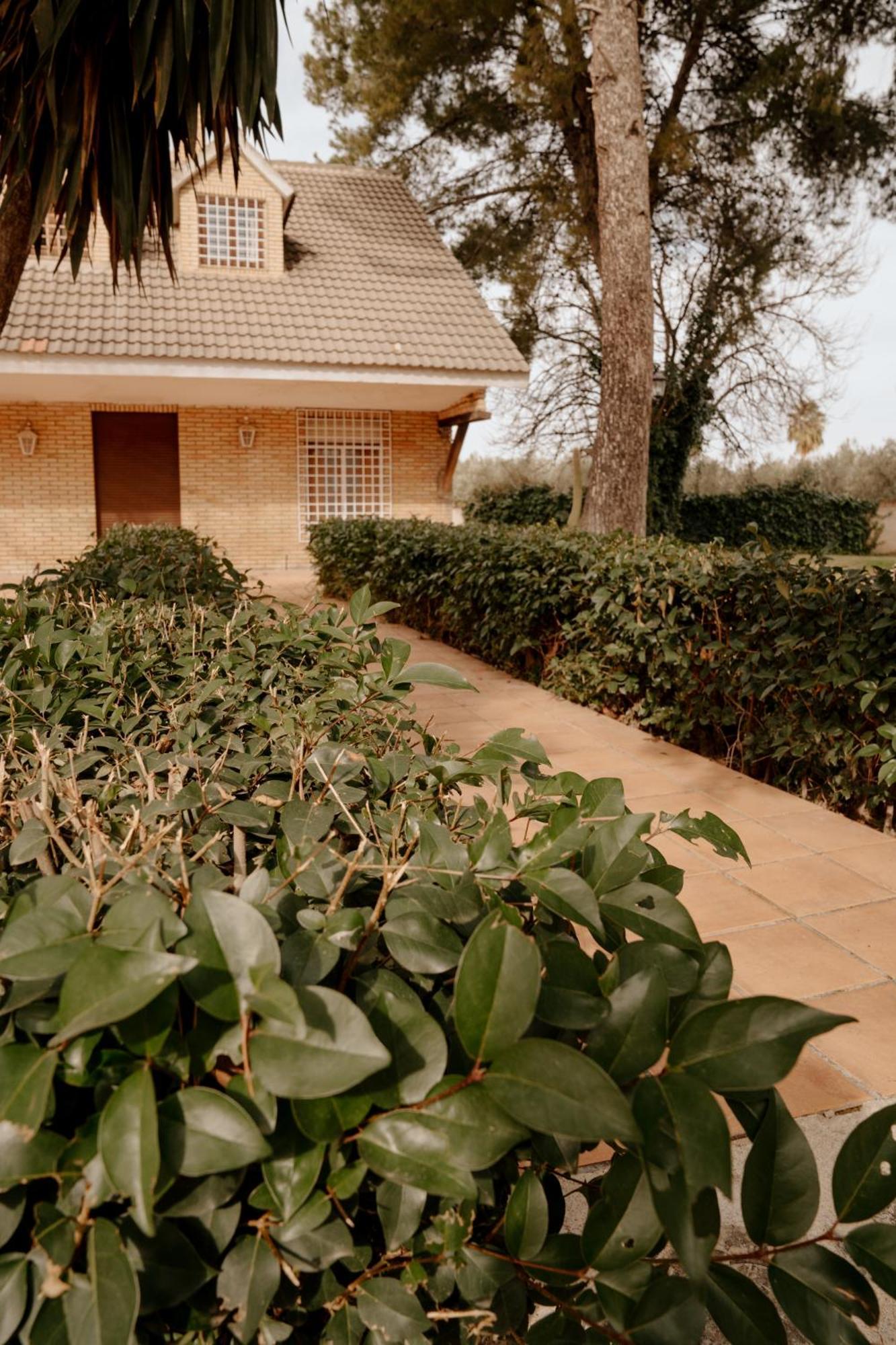 Hostal Vega De La Reina Jaén Exterior foto